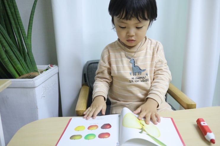  어린이백과 다양한종류의 과일 들을 알아봐요