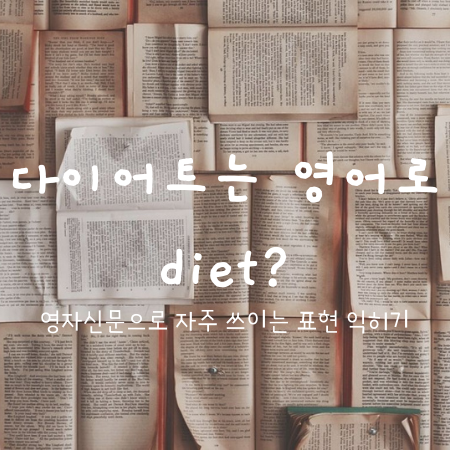  영자신문으로 자주 쓰이는 표현 익히기 :  다이어트는 영어로 Diet?