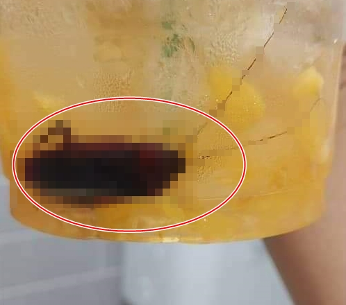 악 [유명카페 음료] 5cm 거대 바퀴벌레가 ,, 감론을박