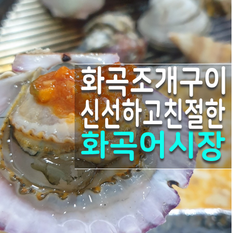  화곡역 조개구이 맛집, 친절하고 푸짐한 화곡어시장 강추