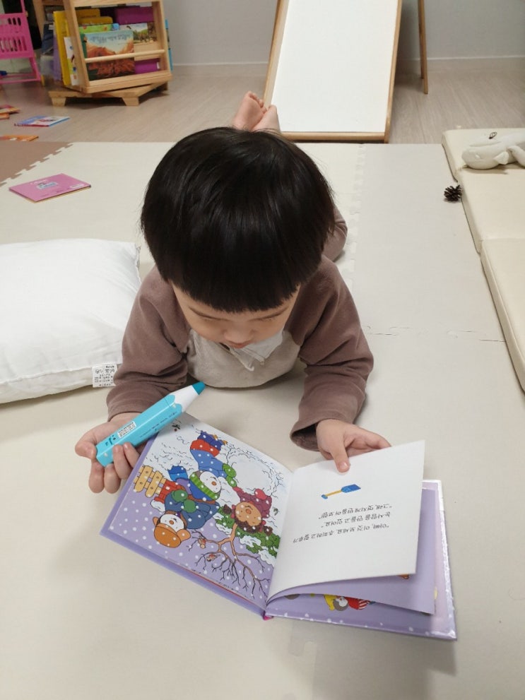  추피의생활이야기 전집 한달사용 (내돈내산)솔직후기