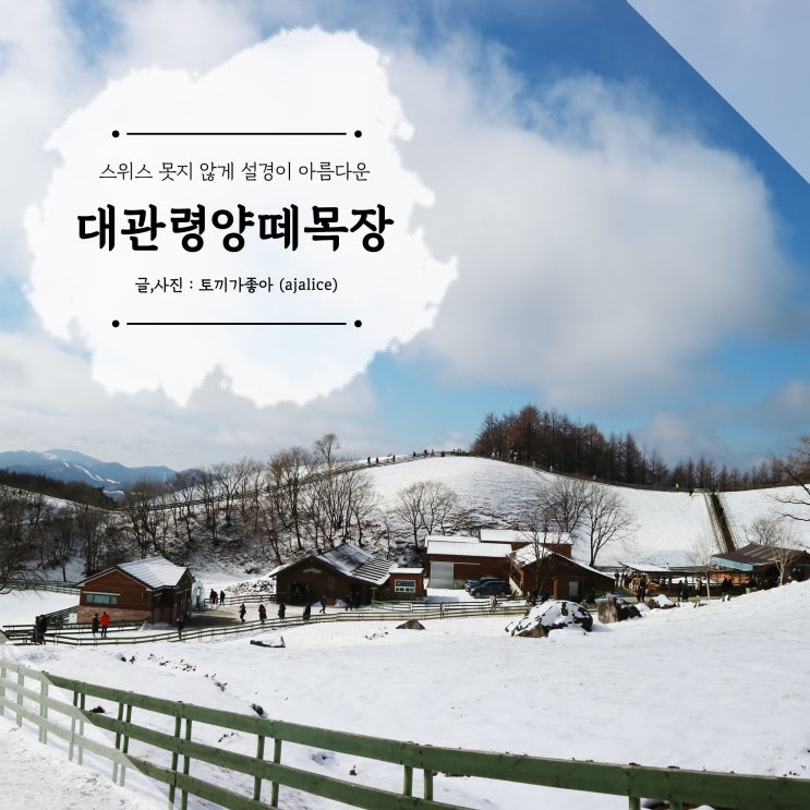 눈구경 하기 좋은 대관령양떼목장 설경이 한 눈에 눈구경 하기 좋은 대관령양떼목장 설경이 한 눈에