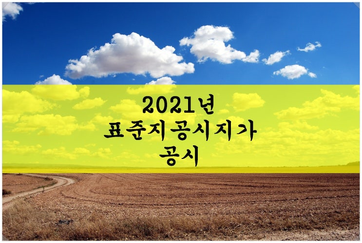 &lt;부동산 뉴스&gt;2021년 표준지공시지가 공시