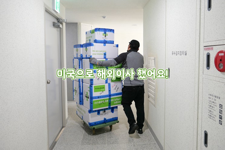  해외이사 준비 끝! 미국으로 갈 일만 남았다!