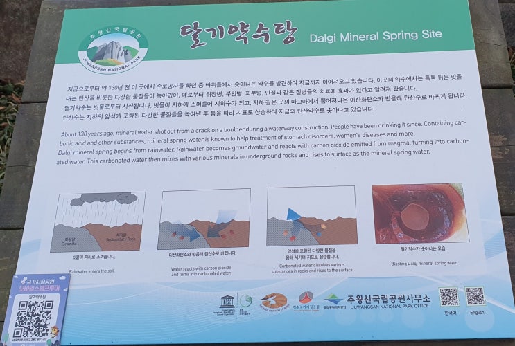  청송 달기약수탕, 물의 맛·위장병 효능·활용법