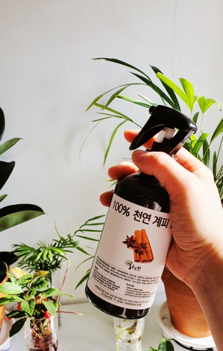  계피스프레이 반려동물에게도 무해하"개" 집 진드기 퇴치!!