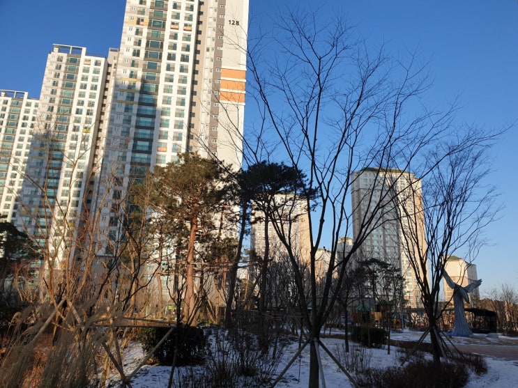  서울 재건축 재개발 규제 완화, 앞으로의 전망은?