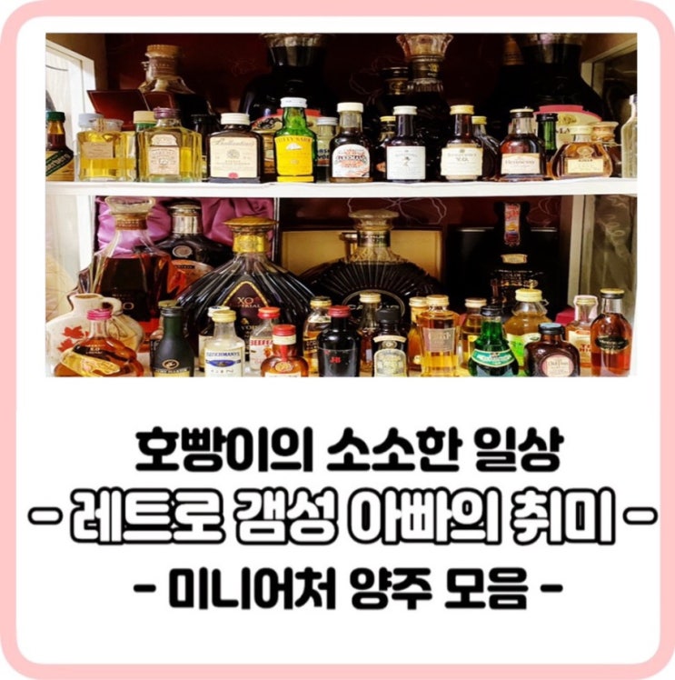  [호빵이의 일상]레트로 감성 아빠의 취미생활