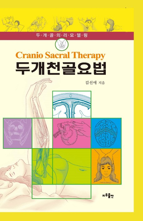 선호도 높은 두개천골요법:두개골의 리모델링, 지우출판(로켓배송) ···