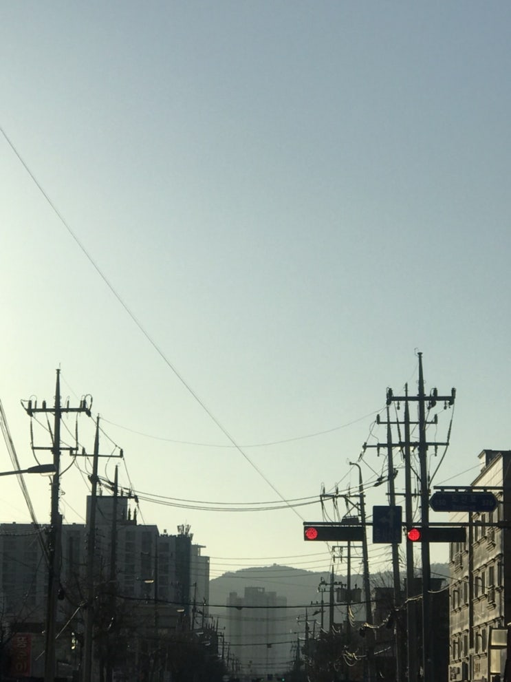 미세먼지 가득한 아침...하라가 헷다 미세먼지 가득한 아침...하라가 헷다