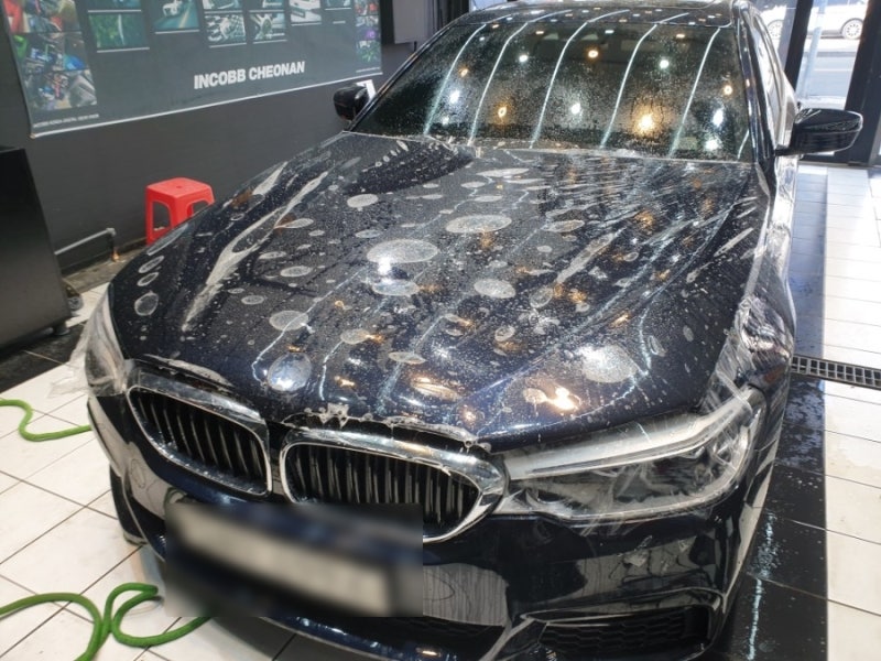 천안 서북구 / PPF / BMW / 5시리즈