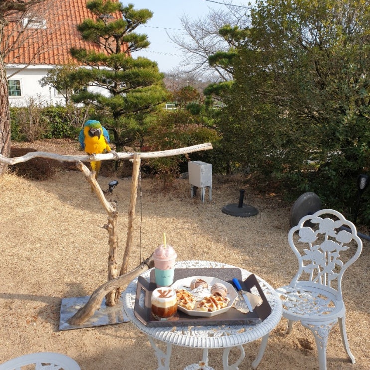  [밀양정원카페]온가족이 가기 좋은 키즈존 정원 카페 지엘