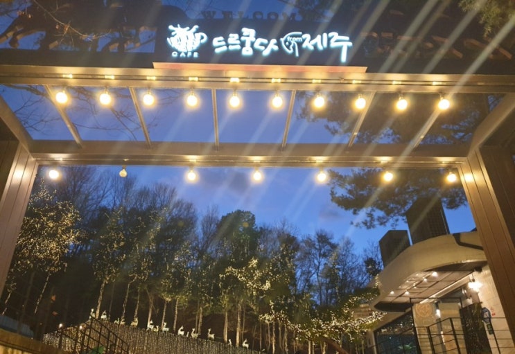  대전 월평동 드르쿰다 from 제주 에서 소중한 사람과 소중한 추억 만드세요:)