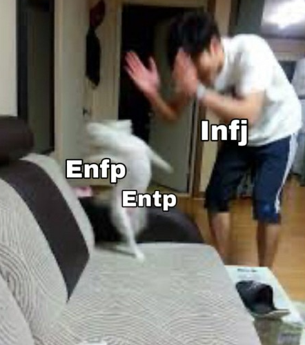  ENTP 특징 엔팁 유형 총정리(연애 궁합,연예인,장점,단점)