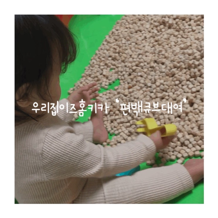  키카안가도 즐거운 우리집키카오픈 편백큐브대여 내돈내산 솔직후기