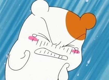  오늘 일상 끄적 끄적 ; 그날 , 쿠에른 , 쇼오핑 , 애드포스트 등록 , 감사의말
