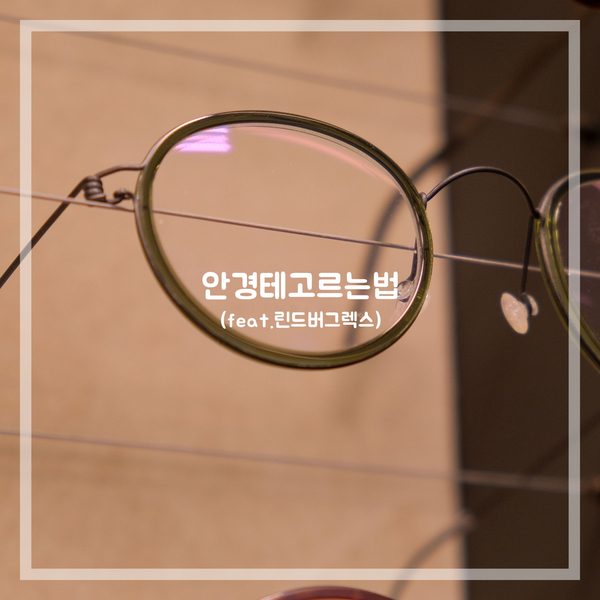  내게 맞는 안경테고르는법(feat.린드버그 렉스)