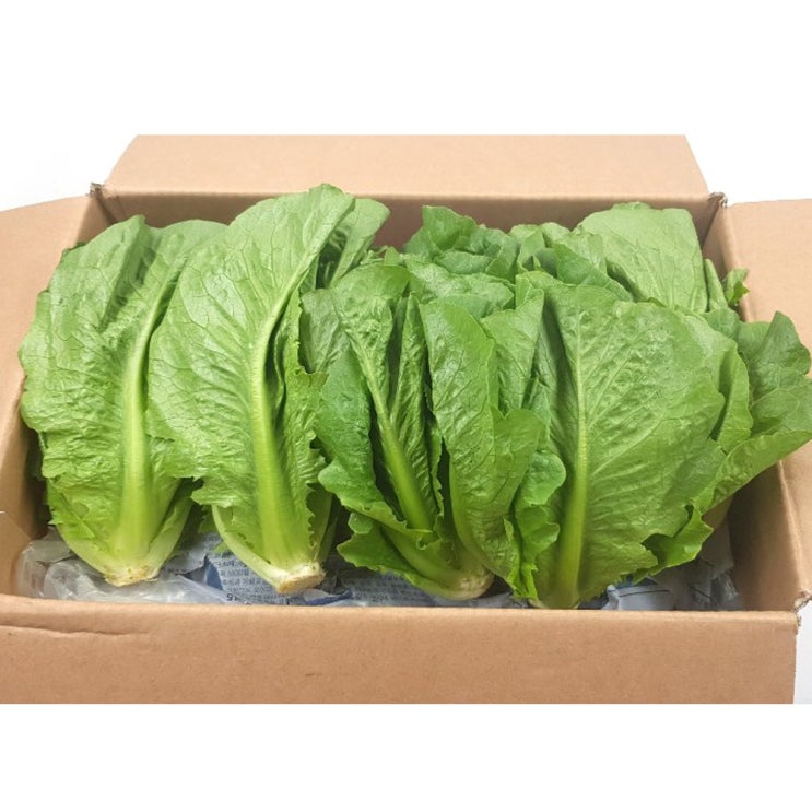 인기 급상승인 야채왕 통로메인 2kg 추천해요 인기 급상승인 야채왕 통로메인 2kg 추천해요