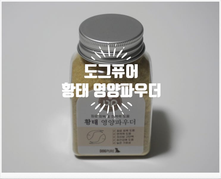  도그퓨어 천연영양파우더 황태 영양파우더 추천