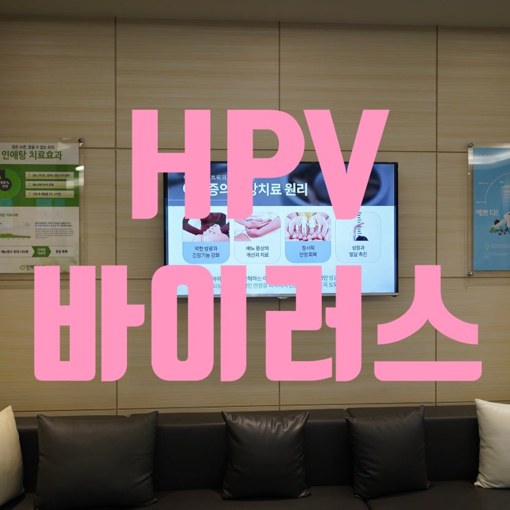  부천HPV바이러스 면역력을 개선해요