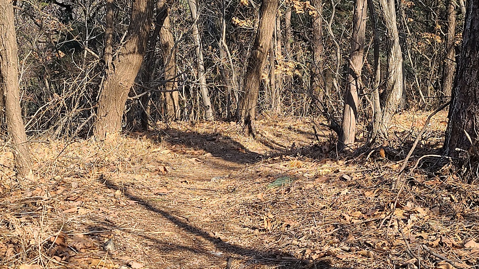 가장골산 사진 3