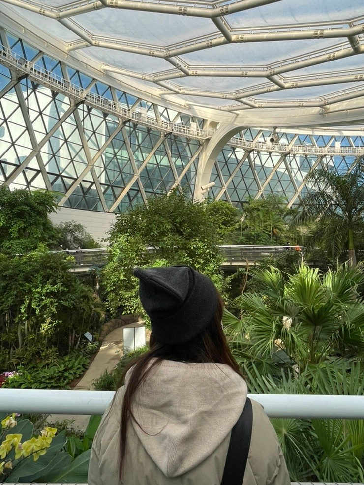 서울식물원 데이트 :: 또 가고싶은 싱그러운 나들이