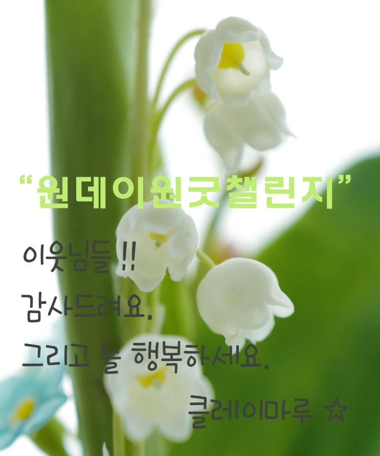  원데이원굿챌린지에 참여하며, 이웃님들께 감사한 마음을 전합니다. ^^