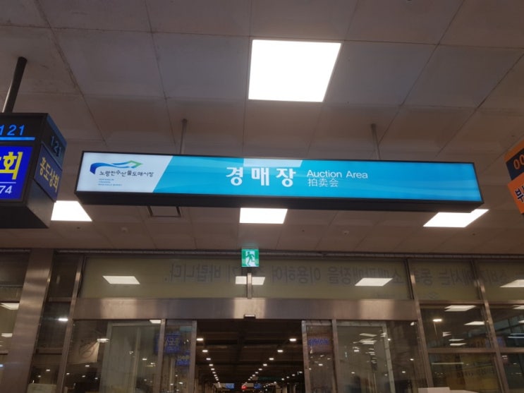  (낚시하는관장님) 노량진 수산물 시장 새벽 경매장 구경하기 및 고기 구입~
