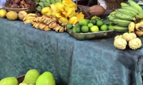 괌여행 남부투어 필수코스(체험학습, 과일가게, 망고축제)