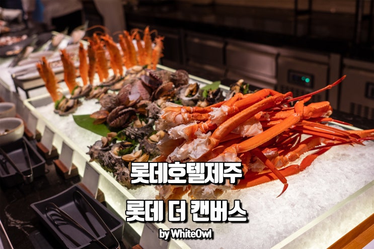  서귀포맛집 롯데 더 캔버스 생일 기념으로 롯데호텔 뷔페 먹고 왔어요