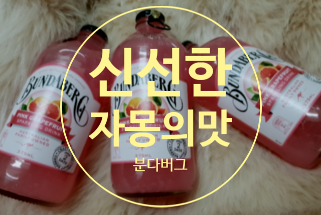  코스트코 분다버그 제품 아시나요?