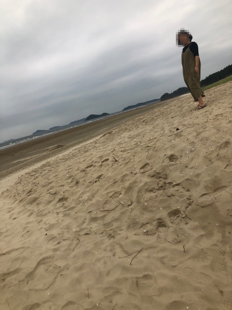  저탄고지 식단, 키토제닉 알아보기