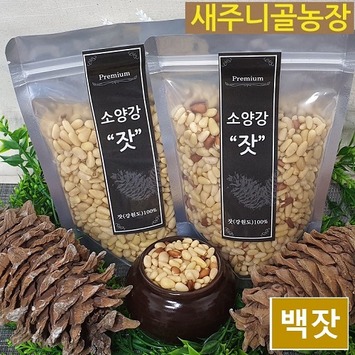 잘나가는 새주니골농장 소양강 햇 잣 200g 백잣, 1개 ··· 잘나가는 새주니골농장 소양강 햇 잣 200g 백잣, 1개 ···
