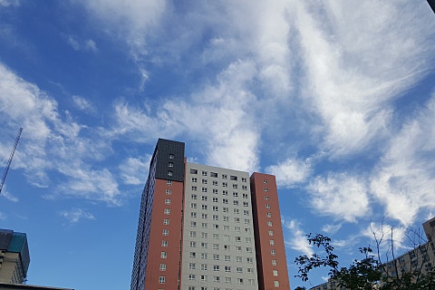 에코러브홈 이미지