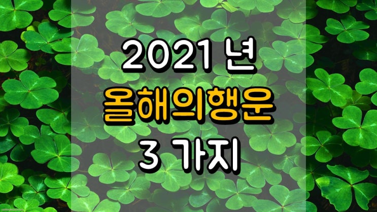 2021 년 3 가지 놀라움 - 올해의 행운