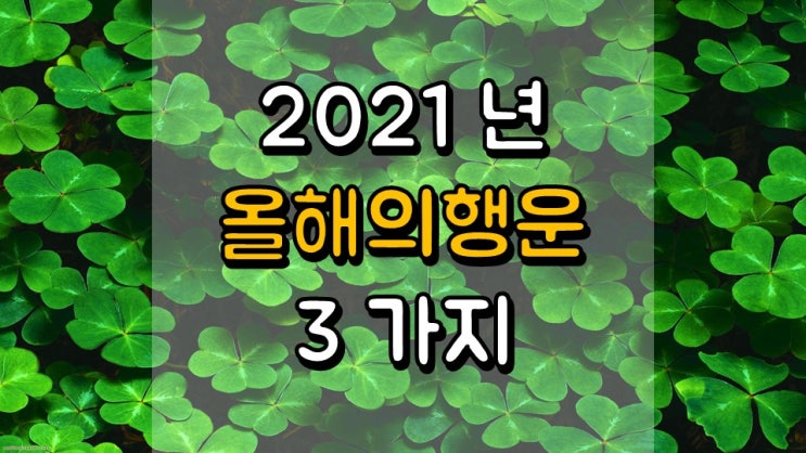 2021 년 3 가지 놀라움 - 올해의 행운