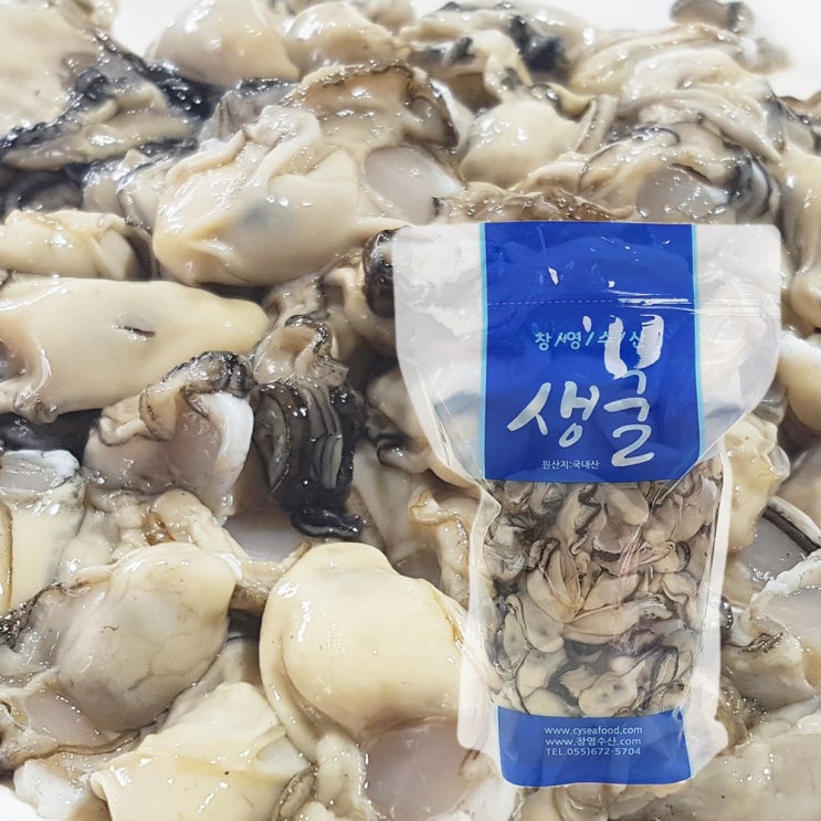 가성비갑 창영수산 제철 생굴 1kg, 1개, 김장용생굴 1kg (중사이즈굴) 추천해요 가성비갑 창영수산 제철 생굴 1kg, 1개, 김장용생굴 1kg (중사이즈굴) 추천해요