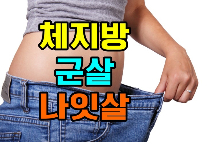  이태란다이어트 가격/효과 20대 직장인 30대 40대 주부  체지방분해 군살빼기 나잇살빼는방법