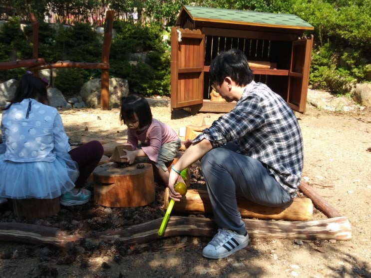  부산여행)부산 최대 숲놀이터!! 엄광산유아숲체험장 아이와가볼만한