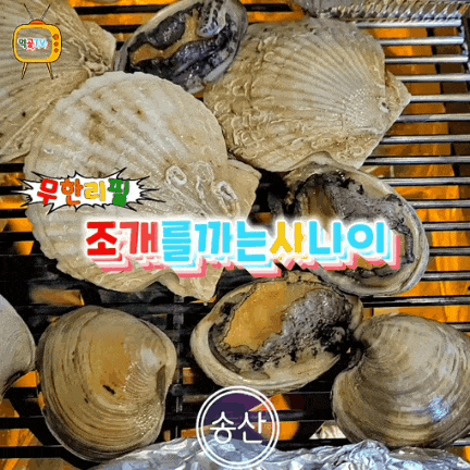  송산신도시 새솔동 맛집 조개를까는사나이