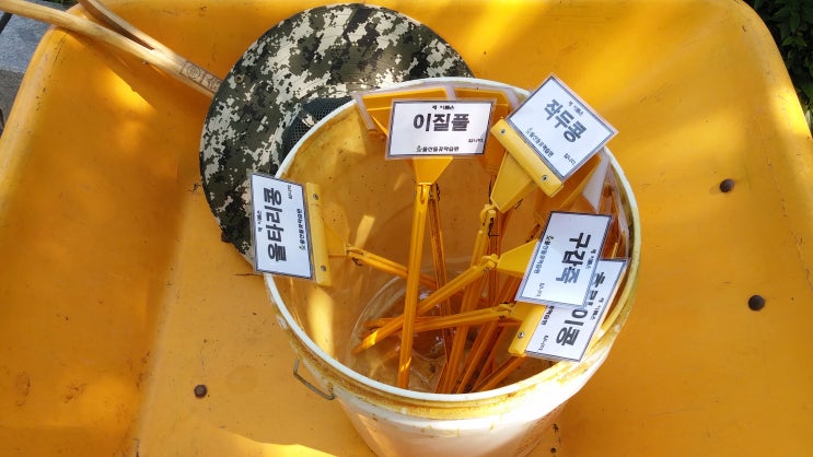 꽃 이름 화초 다육이 이름 과일 나무 종류 모음 꽃 이름 화초 다육이 이름 과일 나무 종류 모음