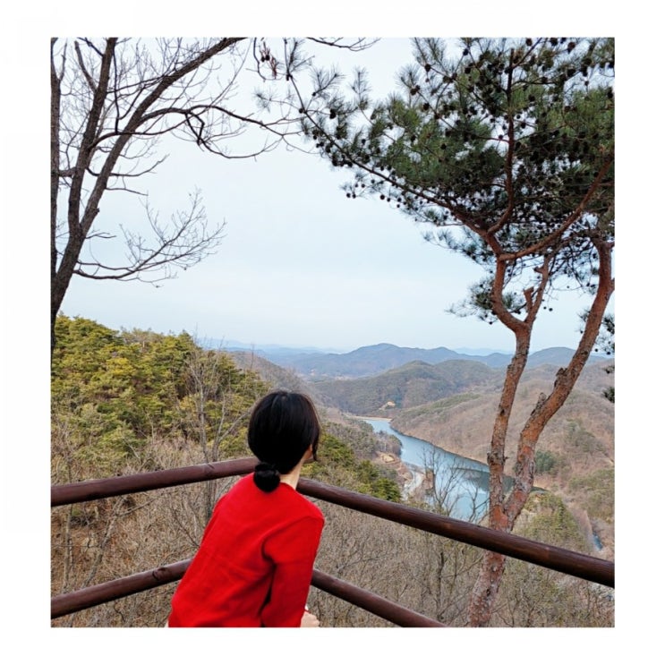 [대전데이트] 장태산자연휴양림 산책하기