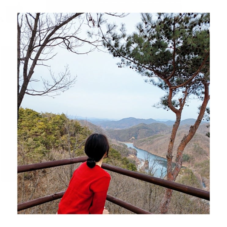  [대전데이트] 장태산자연휴양림 산책하기