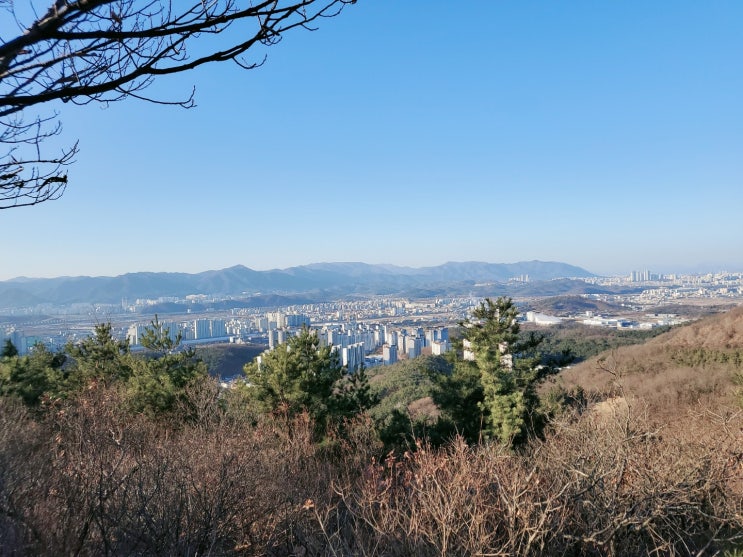  대구경산 강아지 산책코스 나불지생태공원/초례산
