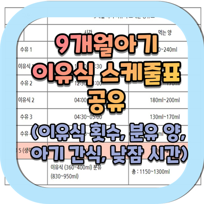  9개월 이유식 스케줄 정리했어요