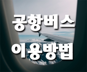 공항버스 이용하는 방법, 동수원↔김포공항,인천공항 4300
