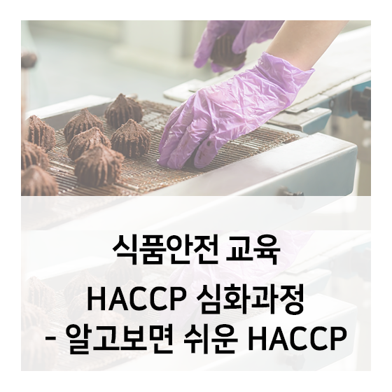 식품안전 HACCP 심화 교육 - 알고보면 쉬운 HACCP