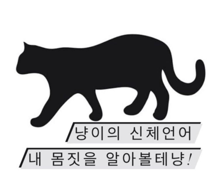 고양이 신체언어 몸짓으로 표현할까 냥? feat. 3가지 유형