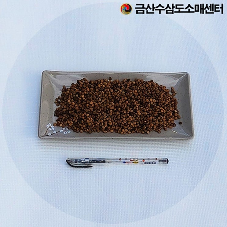 핵가성비 좋은 국내산 개갑한 인삼씨 인삼씨앗 100g 재배용, 1 ···