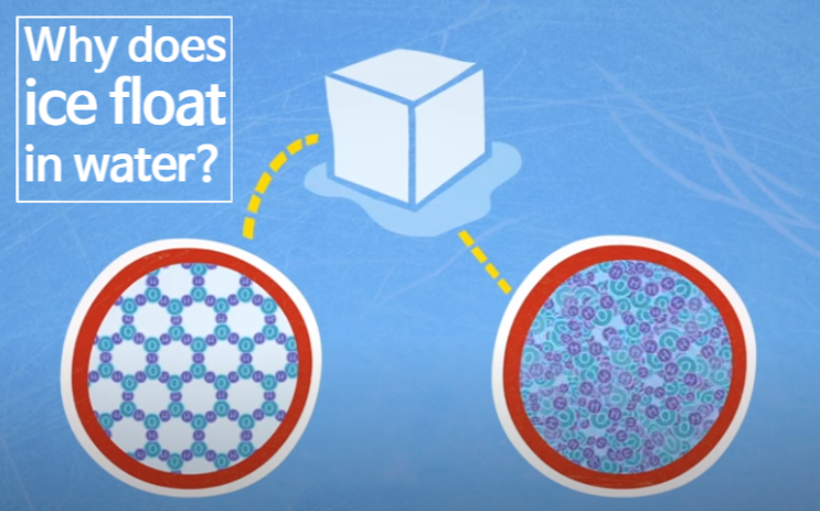  왜 얼음은 물 위에 뜰까요? Why does ice float in water? (feat. TED Ed)